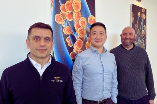 KTP and Trelleborg colleagues 